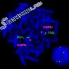 La imagen 6 de la Empresa GENÉTICA LAB S.A.S. Oncología en Medellín ANT