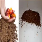 La imagen 1 de la Empresa GEPROTICOLSA S.A Servicios agrícolas en Barranquilla ATL