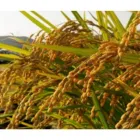 La imagen 3 de la Empresa GEPROTICOLSA S.A Servicios agrícolas en Barranquilla ATL