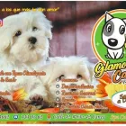 La imagen 1 de la Empresa GLAMOUR CANINO PET SHOP Tienda para mascotas en Cali VAC