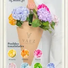 La imagen 7 de la Empresa INSIGHT BRAND Desarrollador web en Cali VAC