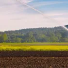 La imagen 2 de la Empresa IRRITECOL Servicios agrícolas en Cali VAC