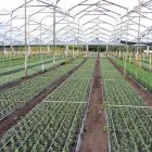 La imagen 3 de la Empresa IRRITECOL Servicios agrícolas en Cali VAC