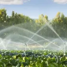 La imagen 5 de la Empresa IRRITECOL Servicios agrícolas en Cali VAC