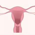La imagen 2 de la Empresa JAIME FERNANDO RUIZ POVEA Oncología en Manizales CAL