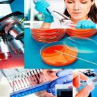 La imagen 2 de la Empresa LABORATORIO VAESKER Veterinario en Bucaramanga SAN