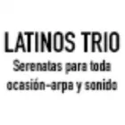La imagen 1 de la Empresa LATINOS TRIO Tienda de música en Bucaramanga SAN