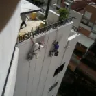 La imagen 35 de la Empresa LEMOS SAS en Cali VAC