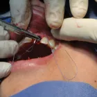 La imagen 1 de la Empresa MARIA CAROLINA OLIVEROS M. Odontología en Ibagué TOL