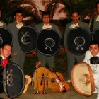 La imagen 1 de la Empresa MARIACHI NUEVO MEXICO Tienda de música en Bucaramanga SAN