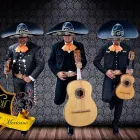 La imagen 4 de la Empresa MARIACHI SENTIMIENTO MEXICANO Banda en Medellín ANT