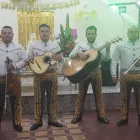 La imagen 3 de la Empresa MARIACHI SHOW MI PAIS Tienda de música en Bogotá DC