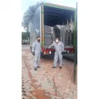 La imagen 2 de la Empresa MUDANZAS ALPISAR Tienda de artículos de embalaje en Bogotá, D.c. DC