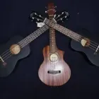 La imagen 2 de la Empresa MUSICALDAS Tienda de sonido para el hogar en Manizales CAL