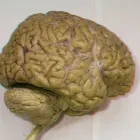 La imagen 2 de la Empresa NEUROPSER Tienda de suministros médicos en Medellín ANT