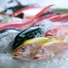 La imagen 1 de la Empresa PESQUERA ACUAMARES Mercado de mariscos en Bucaramanga SAN