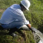 La imagen 4 de la Empresa QUIMIPROYECTOS Servicio de investigación en Bucaramanga SAN