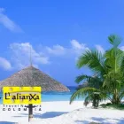 La imagen 5 de la Empresa SERTUR L'ALIANXA LTDA. Atracciones turísticas en Manizales CAL
