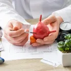 La imagen 5 de la Empresa TOBÓN MUÑOZ RICARDO Médico de medicina general en Medellín ANT