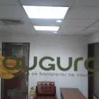 La imagen 9 de la Empresa TREELIFE DESIGN en Sabaneta ANT