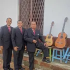 La imagen 4 de la Empresa TRÍO AMÉRICA Orquesta en Medellín ANT