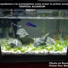 La imagen 1 de la Empresa TROPICAL ACUARIUM Tienda para mascotas en Bucaramanga SAN