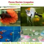 La imagen 2 de la Empresa TROPICAL ACUARIUM Tienda para mascotas en Bucaramanga SAN