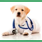 La imagen 5 de la Empresa VETERINARIA EL CORRAL Veterinario en Bucaramanga SAN