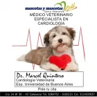 La imagen 2 de la Empresa VETERINARIA MASCOTAS GOLD S.A.S Servicio de veterinaria de emergencia en Floridablanca SAN