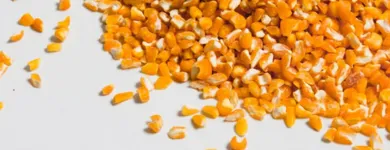 La imagen 10 de la Empresa AGROGRAIN S.A. Servicio agrícola en Guadalajara De Buga VAC