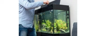 La imagen 2 de la Empresa AQUASORANY Tienda para mascotas en Manizales CAL