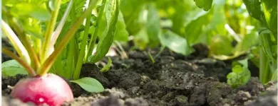 La imagen 2 de la Empresa ASEQUIMAGRO Servicios agrícolas en Bucaramanga SAN