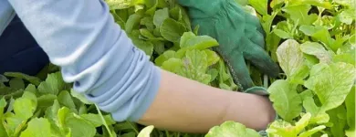La imagen 3 de la Empresa ASEQUIMAGRO Servicios agrícolas en Bucaramanga SAN