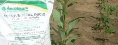 La imagen 5 de la Empresa ASEQUIMAGRO Servicios agrícolas en Bucaramanga SAN