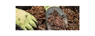 La imagen 1 de la Empresa ASESORÍAS Y SOLUCIONES EFICIENTES AMBIENTALES SAS Recogida y tratamiento de basura en Cali VAC