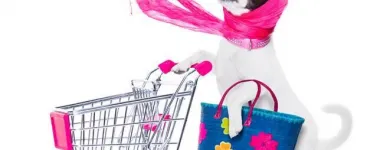 La imagen 2 de la Empresa CLÍNICA VETERINARIA SCHUSTER & MEJIA Tienda para mascotas en Bogotá DC