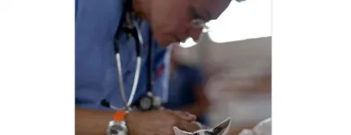 La imagen 1 de la Empresa CLÍNICA VETERINARIOS ESPECIALIZADOS Veterinario en Ibagué TOL
