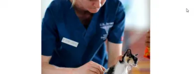 La imagen 3 de la Empresa CLÍNICA VETERINARIOS ESPECIALIZADOS Veterinario en Ibagué TOL