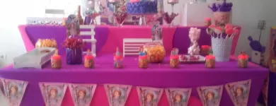 La imagen 5 de la Empresa DE FIESTA EVENTOS Tienda de suministros médicos en Cali VAC