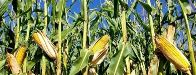 La imagen 3 de la Empresa DEGANADO S.A Servicios agrícolas en Cali VAC