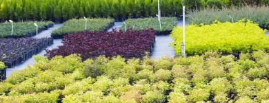 La imagen 3 de la Empresa DISEÑO DE JARDINES Y RIEGOS JM Viveros en Cali VAC