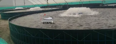 La imagen 4 de la Empresa DYMPA SAS Tienda para mascotas en Manizales CAL