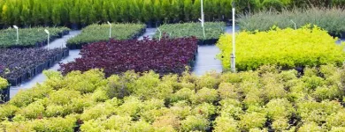 La imagen 1 de la Empresa EFIJURÍDICA S.A.S. Sociedad de compra y venta de terrenos en Barranquilla ATL