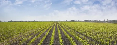 La imagen 4 de la Empresa EFIJURÍDICA S.A.S. Sociedad de compra y venta de terrenos en Barranquilla ATL