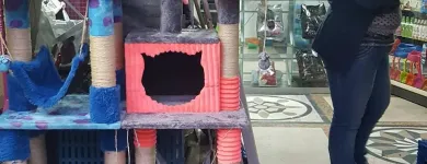 La imagen 5 de la Empresa EL CENTRO DE LA MASCOTA LUNA W&S Tienda para mascotas en Bogotá DC