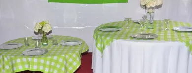 La imagen 5 de la Empresa FESTEJAMOS S.A.S. Servicio de logística en Ibagué TOL