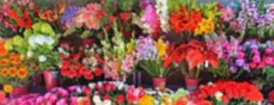 La imagen 4 de la Empresa FLORISTERÍA ANGYE Mayorista para floristerías en Yumbo VAC