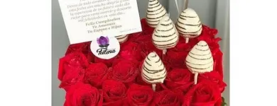 La imagen 2 de la Empresa FLORISTERÍA FEILENA Tienda navideña en Bucaramanga SAN