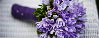 La imagen 4 de la Empresa FLORISTERÍA LA PERLA Tienda de artículos de embalaje en Manizales CAL