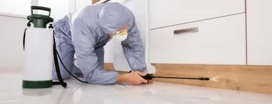 La imagen 1 de la Empresa FUMIGACIONES LEO Servicio de control de plagas en Medellín ANT